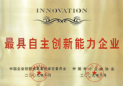 较具自主创新能力企业